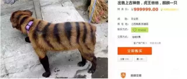  笑死人不偿命！咸鱼二手上的奇葩卖家 