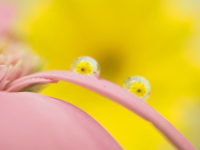 ΢ͷ ְ˹30mm F3.5΢