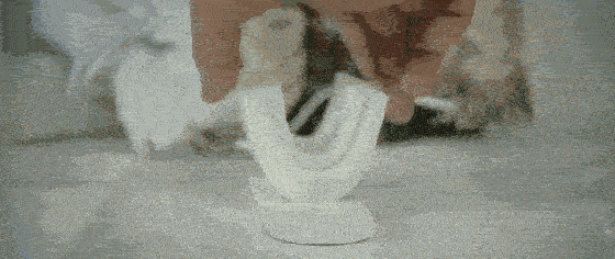 ࡢö ֻ躬סˢ 