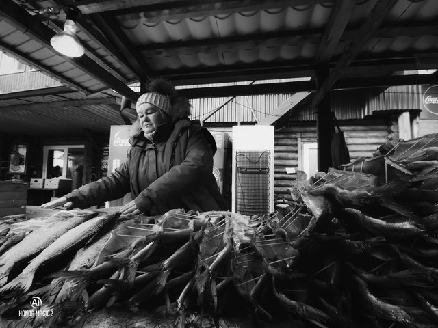 ��ҫMagic2����֮�ۣ��������ȿ˷�������