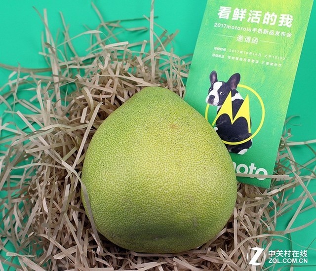 motorola�ֻ��������� ���뺯������? 