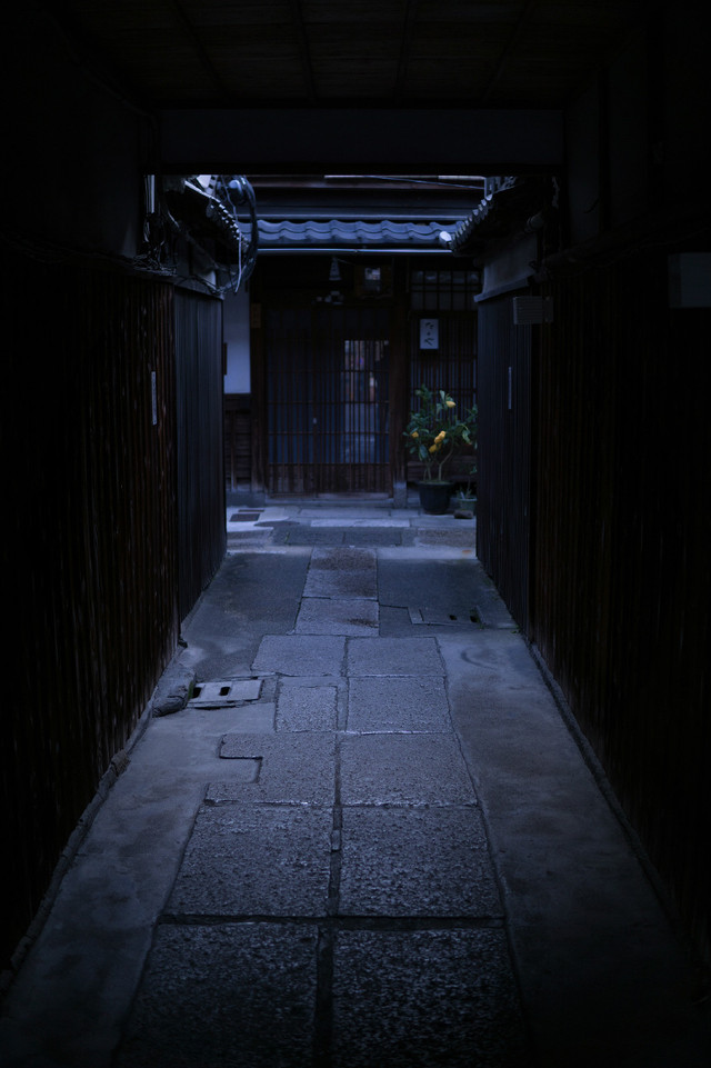 30mm f/1.4 DC DNͷٷƬ