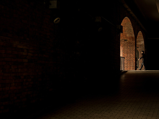 30mm f/1.4 DC DNͷٷƬ
