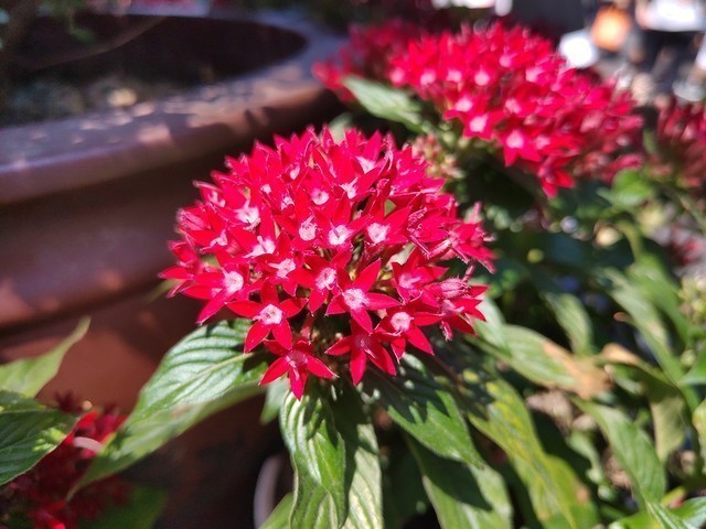 质感的全面胜利,科技颜值控的福音