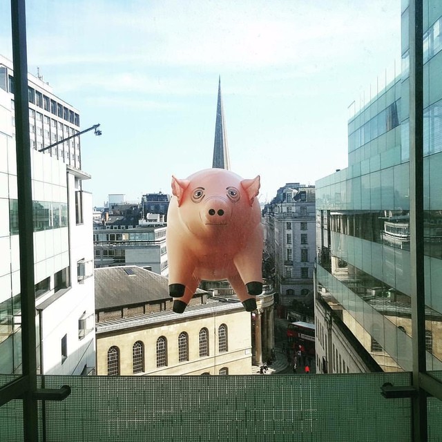 喜欢音乐的人多少都听过来自英国的摇滚乐队pink floyd(平克