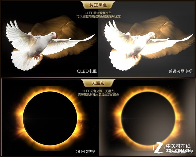 OLED ĻѧӦ 
