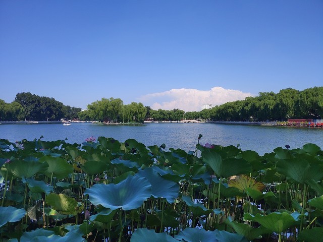 �ᱡ�������п��� ���Pro 2Sȫ������ 