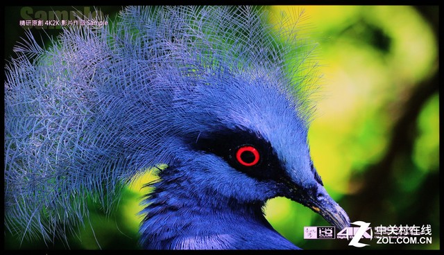 ʷӽOLED ά65ӢQ7 