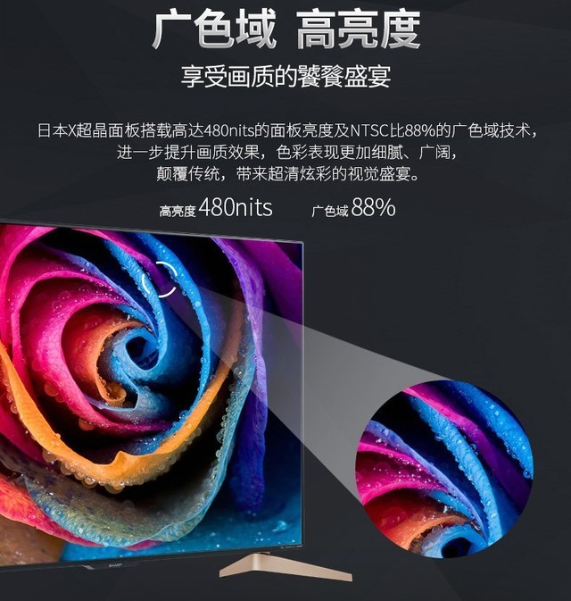 暑假要换好电视 用什么填满漫长假期?