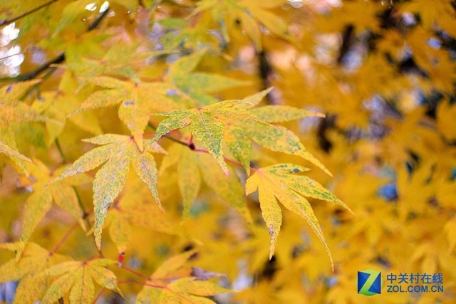 ˭�Ǹ�����;��Ӱ���� ����G�������PK 