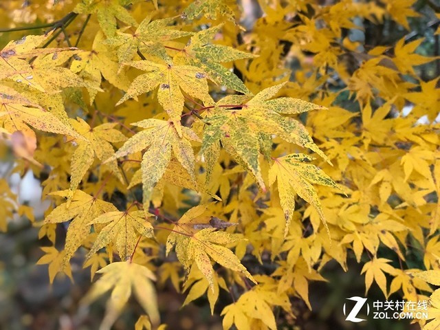 ˭�Ǹ�����;��Ӱ���� ����G�������PK 