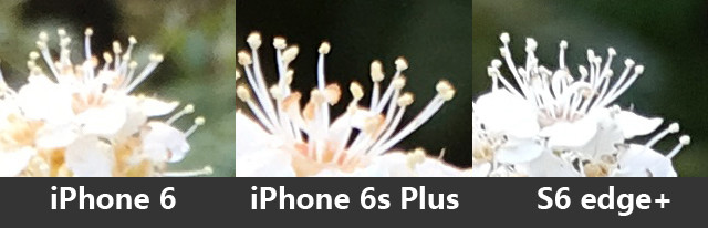 iPhone6/6s Plus/S6 edge+նԱ 