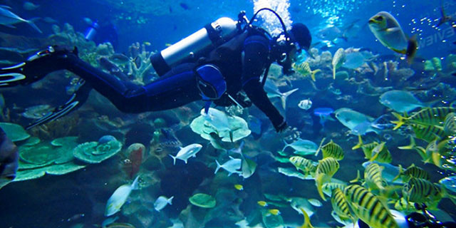 美国潜水员皮卡尔与沃什在太平洋马里亚纳海沟,乘潜水球下潜至11520米