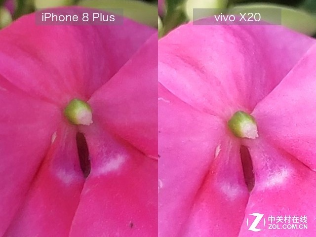 vivo X20/8PԿ ֻĻ 