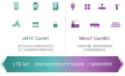 ������Ĺ������� ���������߶�������� 