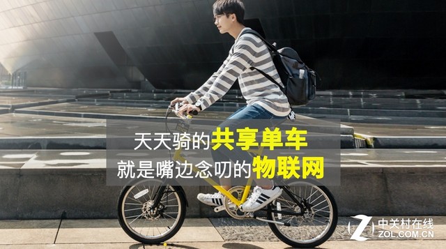 ������Ĺ������� ���������߶�������� 