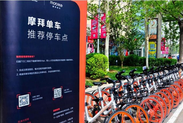 ������Ĺ������� ���������߶�������� 