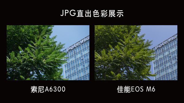 ѡ˭ EOS M6 VS A6300 