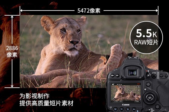 44999Ԫ콢 EOS-1D X Mark жǿ 