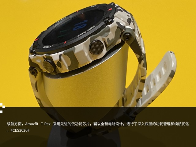 ȫ»ϵеǳ Amazfit T-Rexֳͼ