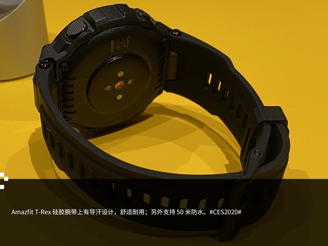 ȫ»ϵеǳ Amazfit T-Rexֳͼ