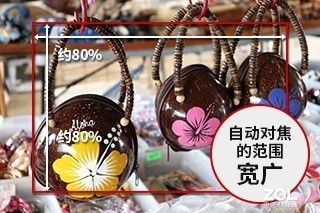 ҹҲ EOS M1002599Ԫ 