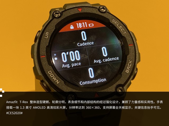 ȫ»ϵеǳ Amazfit T-Rexֳͼ