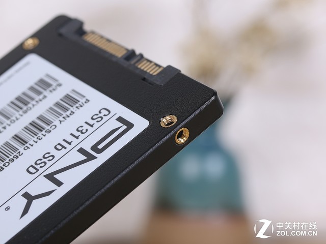 PNY SSD 