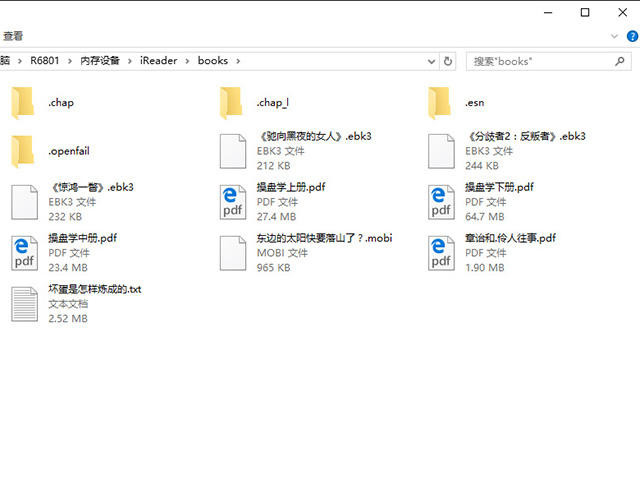 ֶָ֧ʽiReader PlusԲ 