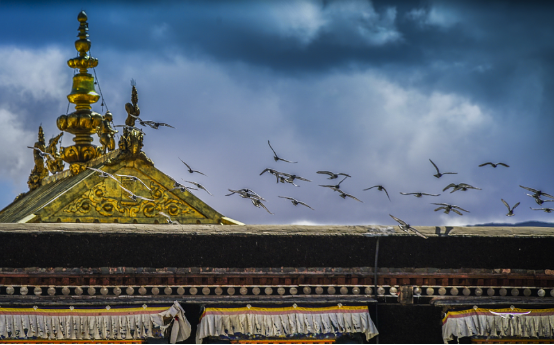λȫ΢™A7RII ֮ 