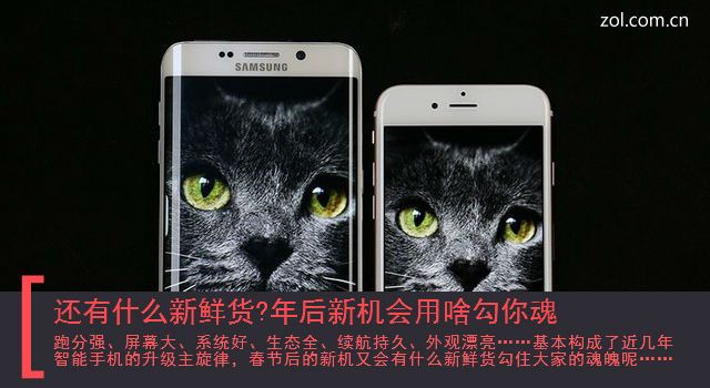 还有什么新鲜货?年后新机会用啥勾你魂