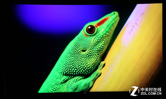 ӵ֮!2017콢QLED TVײ 