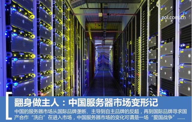 翻身做主人:中国服务器市场变形记