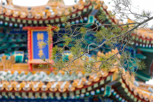 春节摄影推荐四：记录皇城故宫的景致 