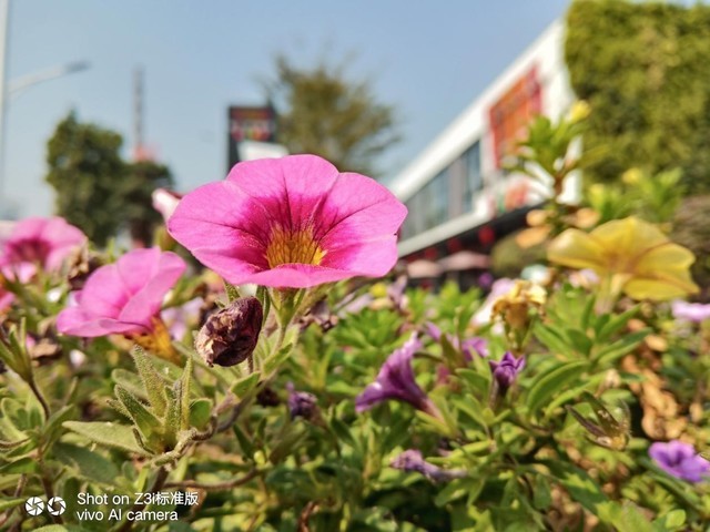 vivo Z3i标准版评测 强劲配置带来酣畅体验