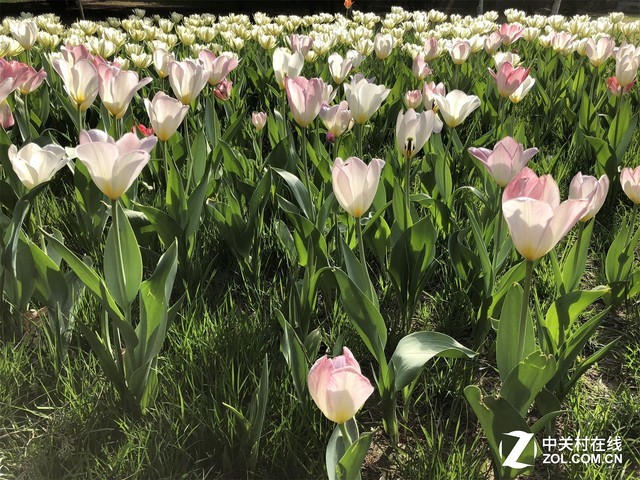 OPPOR15�ξ���Ŵ󳡾�������ѹiPhoneX����˲����� 