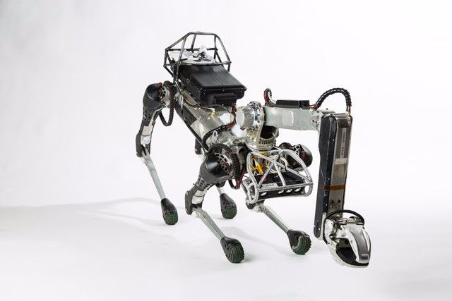 机器人“斑点”，可以小狗一样在家里穿梭，前面的手臂还可以帮你拿东西。