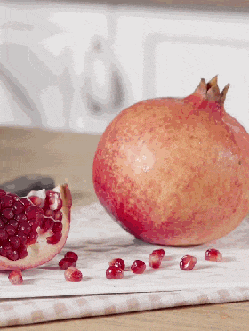 ̼ϵĵڶʮ 5&Ƥ 