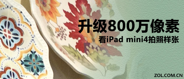 800򣬿iPad mini4 