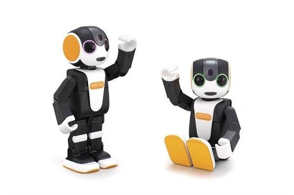 䣡һRoBoHoNع 