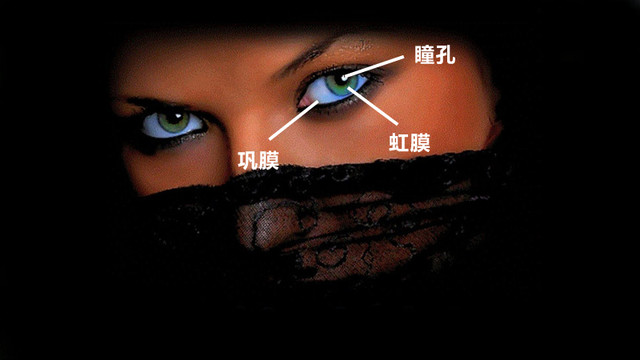 ˢʱ Ĥʶܷ³ 