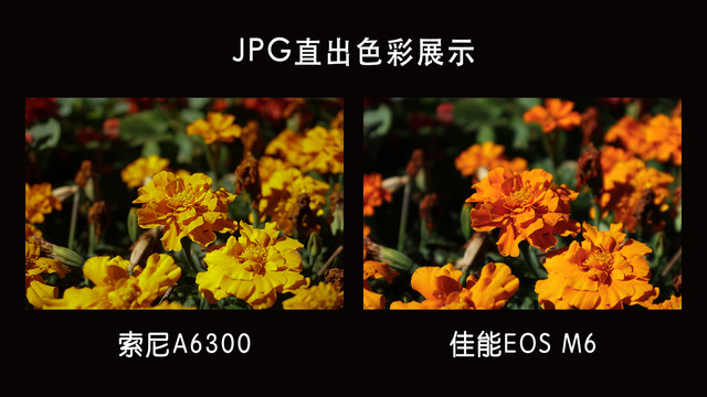 ѡ˭ EOS M6 VS A6300 