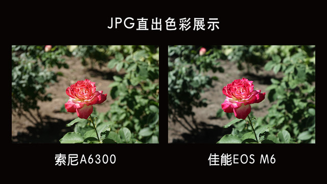 ѡ˭ EOS M6 VS A6300 