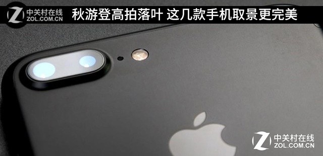 ���εǸ�����Ҷ �⼸���ֻ�ȡ�������� 