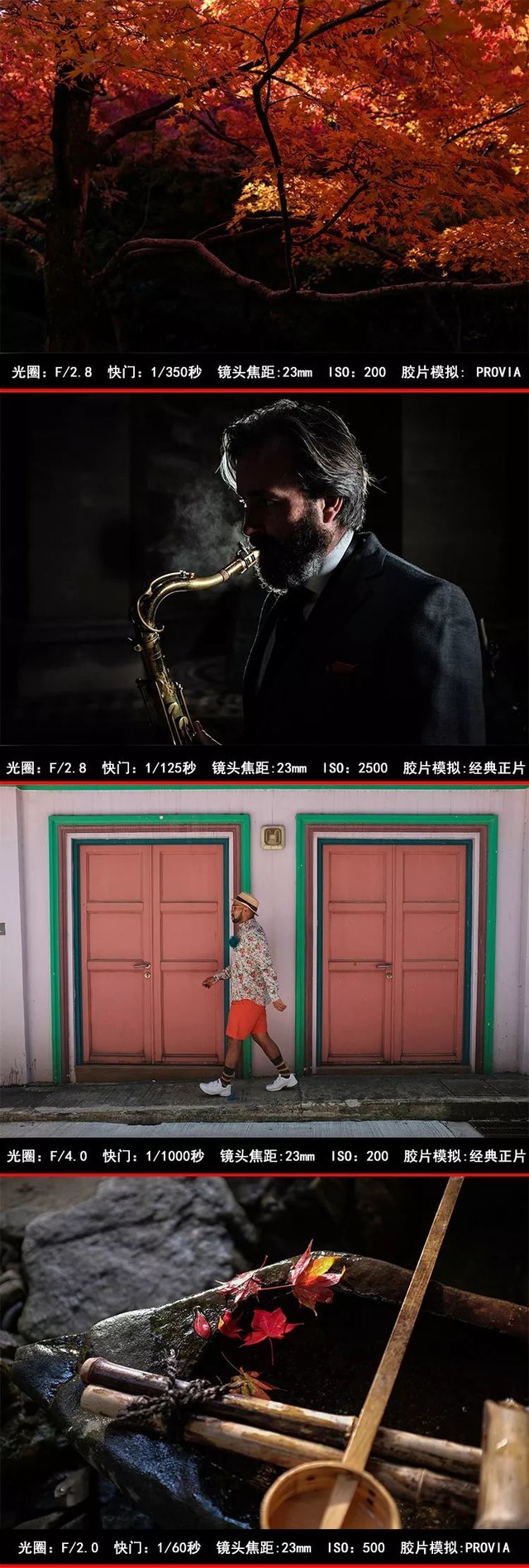 ˫ʮһ μװһϹ 