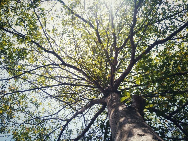 MANN 8S�����ֻ�10Сʱ��Ϸ��ѹ�� 