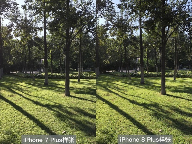 拍照才是真亮点 苹果iPhone8|Plus评测 