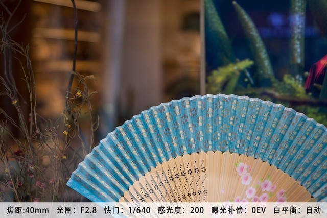比微单镜头更轻巧 佳能EF 40mm f2.8购机手册