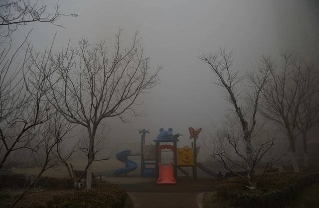 ʮ桰ǿѡָ 