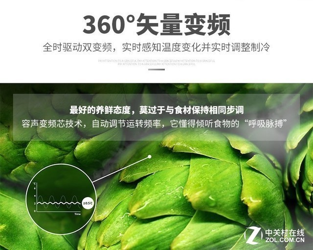 ɪɪ ЩԶ뺮 